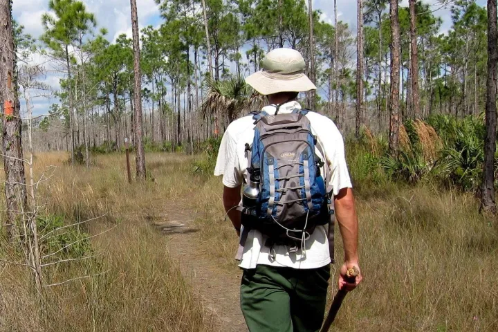 man walking among cypress trees