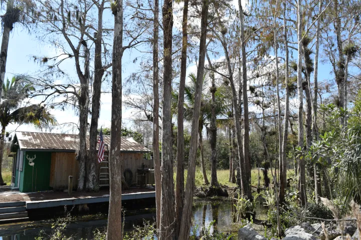 Small cabin with American flag among tall trees and a narrow waterway.